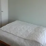 Apartment Teekki