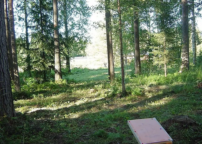 Teekki Διαμέρισμα Muuruvesi